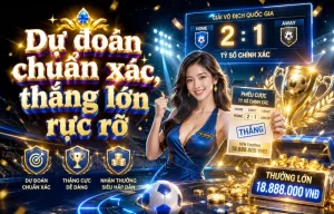 yankeeyachts thể thao